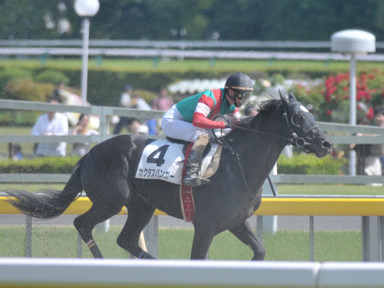 2018/05/12 東京08R