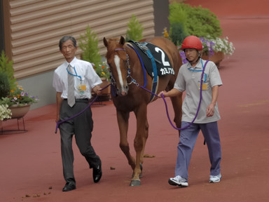 2008/07/26 新潟08R