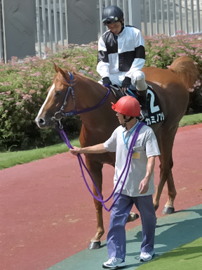 2008/07/26 新潟08R