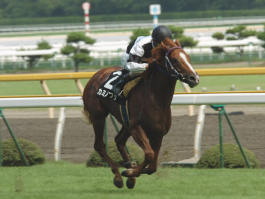 2008/07/26 新潟08R