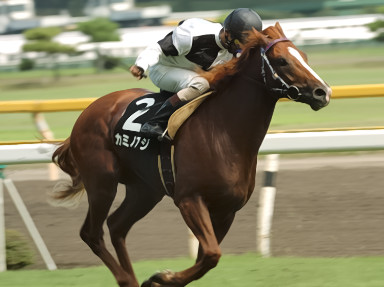 2008/07/26 新潟08R