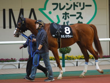 2010/10/21 福島10R