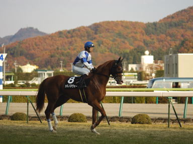 2010/10/21 福島10R