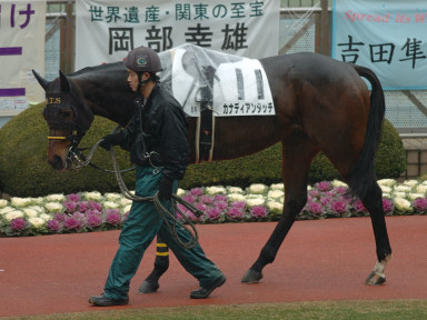 2005/01/15 中山08R