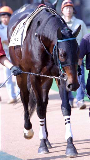 2003/11/02 東京04R