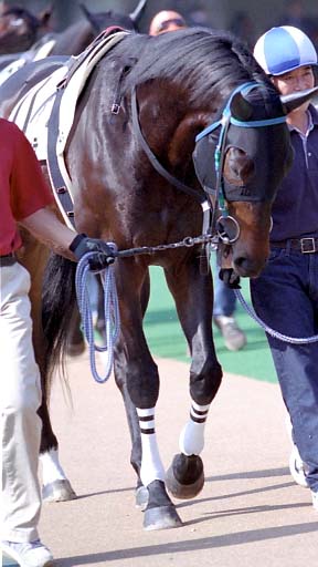 2003/11/02 東京04R