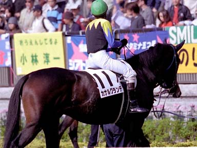 2003/11/02 東京04R