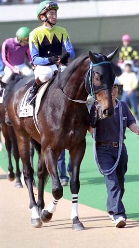 2003/11/02 東京04R