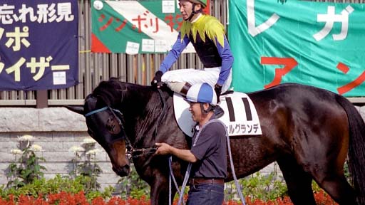 2003/11/02 東京04R