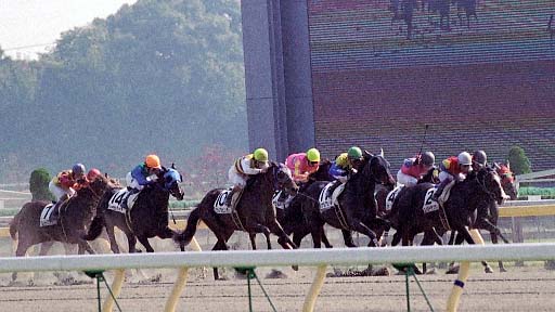 2003/11/02 東京04R