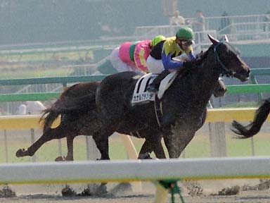 2003/11/02 東京04R