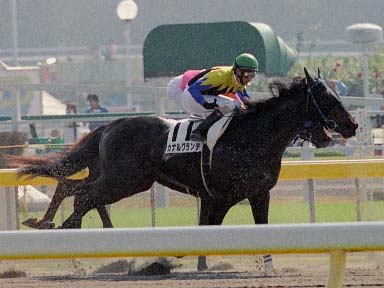 2003/11/02 東京04R