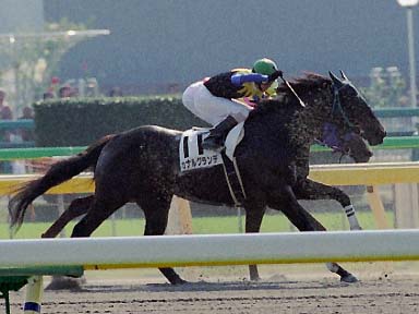 2003/11/02 東京04R