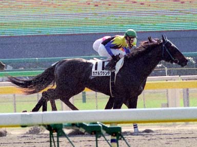 2003/11/02 東京04R