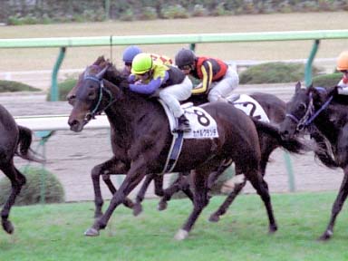 2003/11/09 福島12R