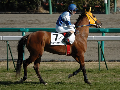 2007/01/14 中山07R