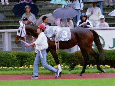 1997/10/04 東京09R