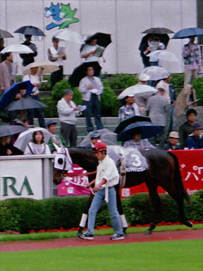 1997/10/04 東京09R
