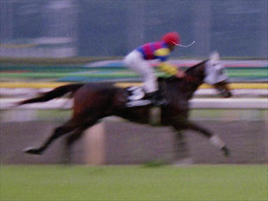 1997/10/04 東京09R