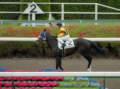 2008/04/19 R07R
