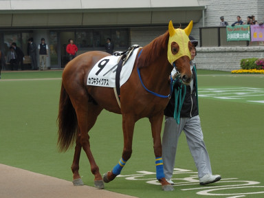 2007/04/28 東京07R