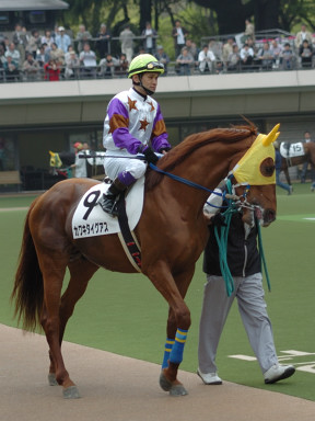 2007/04/28 東京07R