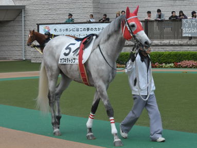 2012/11/03 東京04R