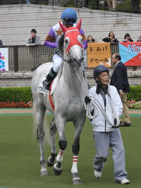 2012/11/03 東京04R