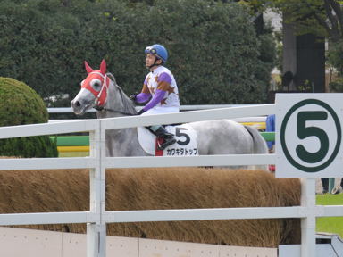 2012/11/03 東京04R
