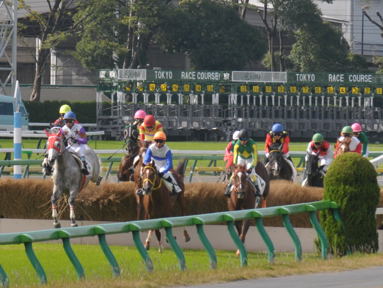 2012/11/03 東京04R