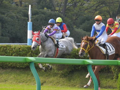 2012/11/03 東京04R