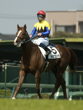 2004/04/10 R08R