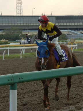 2004/09/23 ‘D‹´10R