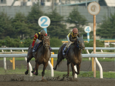2004/09/23 ‘D‹´10R