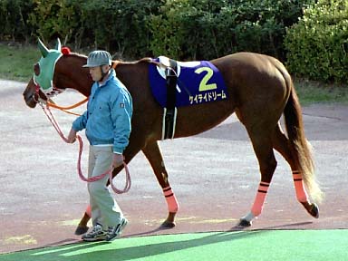 2002/11/04 盛岡07R