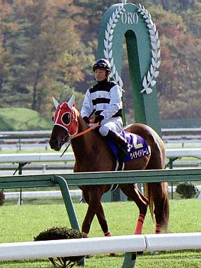 2002/11/04 盛岡07R