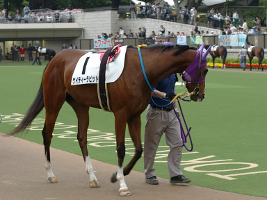 2005/06/04 東京12R