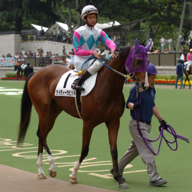 2005/06/04 東京12R