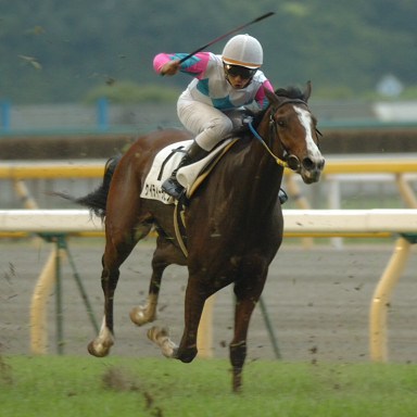 2005/06/04 東京12R