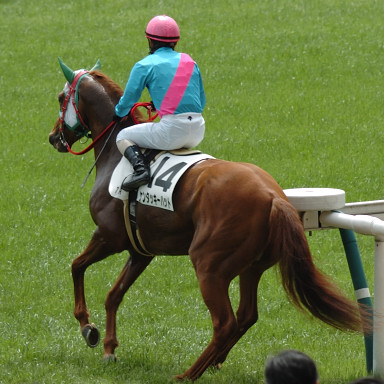 2008/05/04 東京07R
