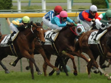 2008/05/04 東京07R