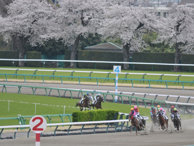 2025/04/06 中山04R