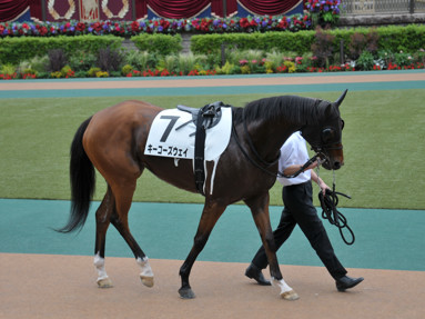 2021/05/22 東京08R