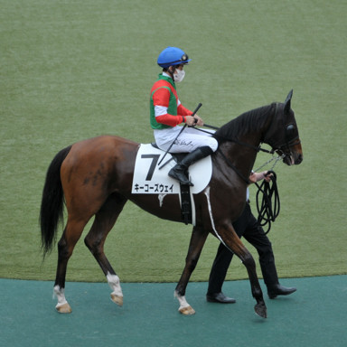 2021/05/22 東京08R