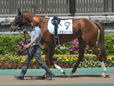 2015/05/03 東京06R