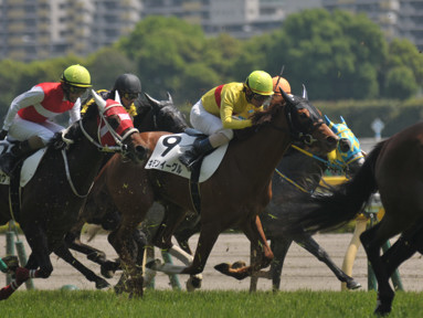 2015/05/03 東京06R