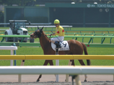 2015/05/03 東京06R