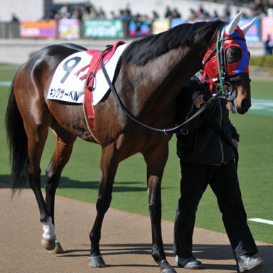 2011/02/13 東京07R