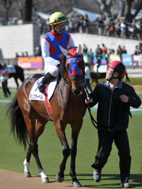 2011/02/13 東京07R