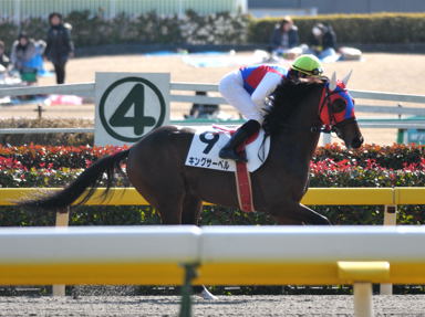 2011/02/13 東京07R